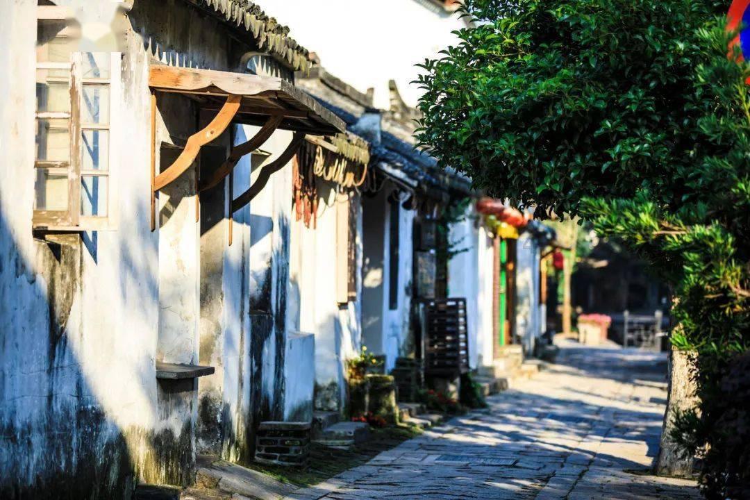 逃离棕榈树森林